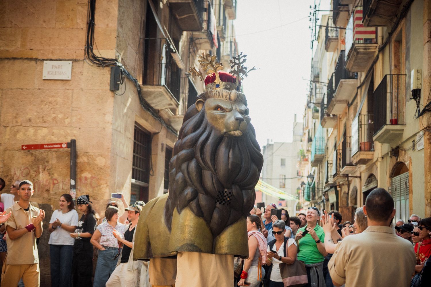 Assaig obert del Lleó