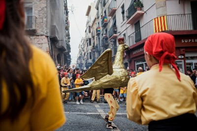 Aligueta
