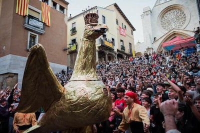 Àliga