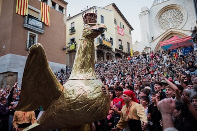 ST24 Seguici àliga 2