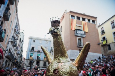 ST24 Seguici àliga
