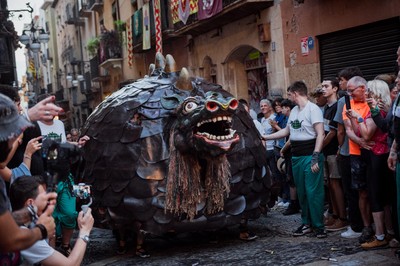 ST24 Seguici cucafera