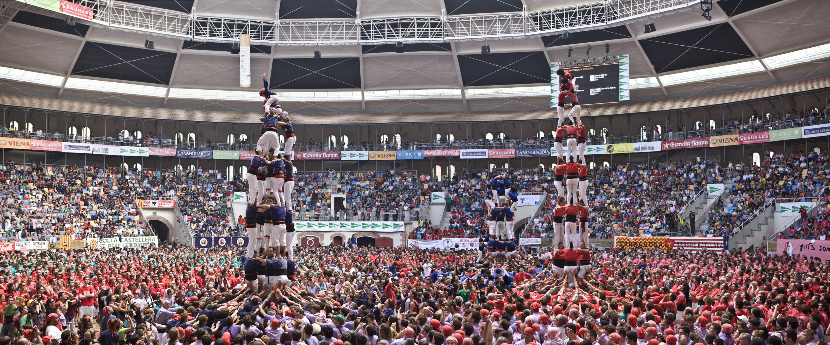 Concurs de Castells, Joan Capdevila