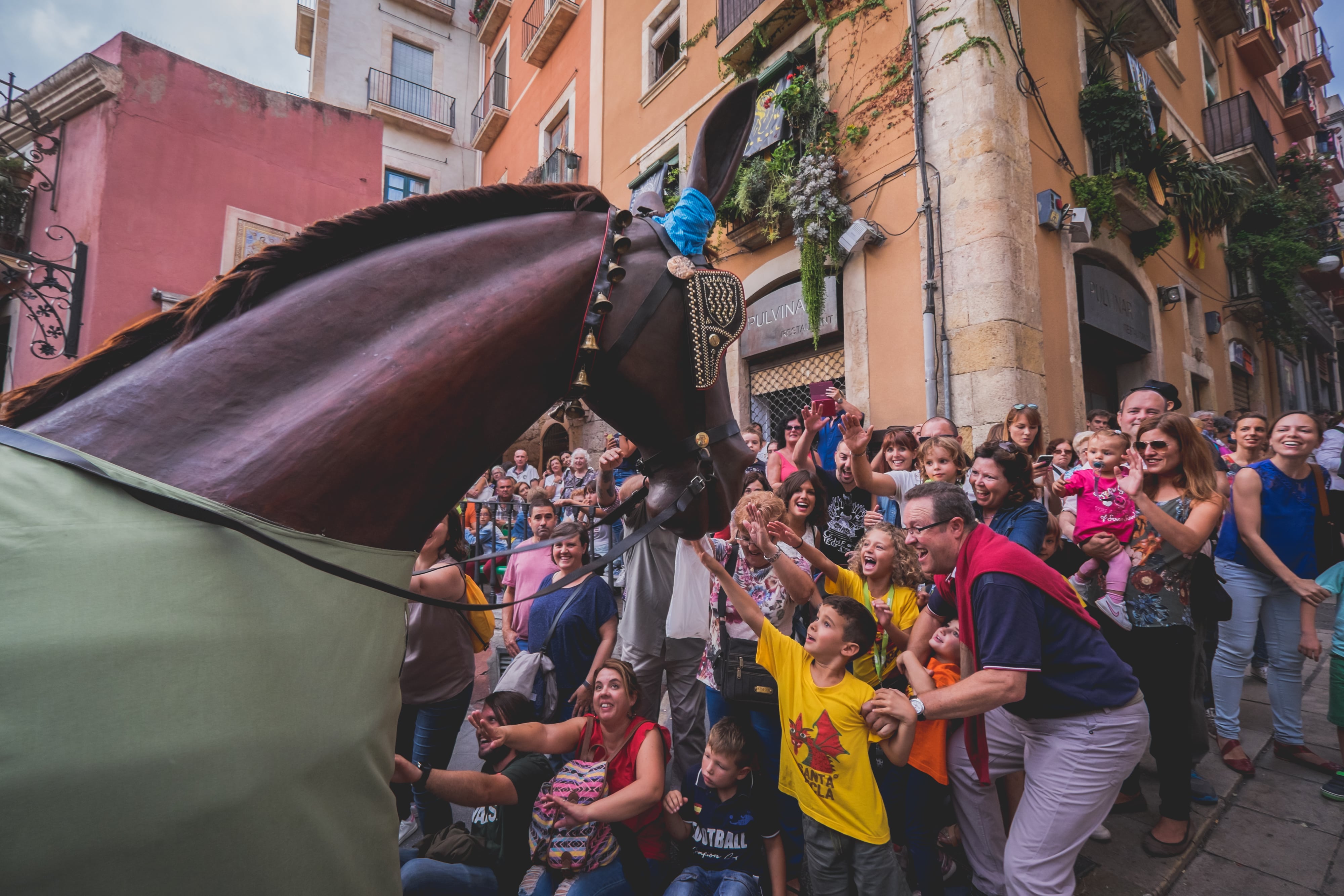 Mulassa - Santa Tecla 2016