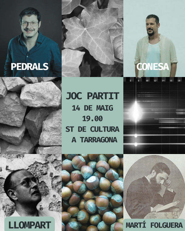 Joc partit