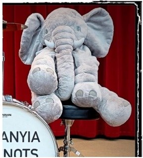 L'hora del conte: 'En Bum i l'estel dels desitjos'