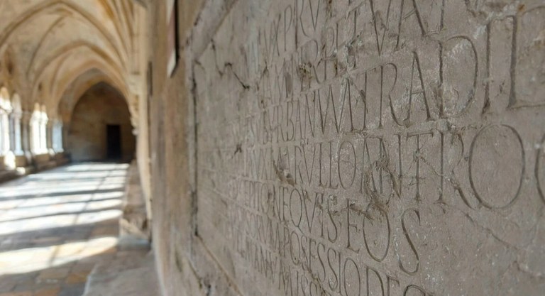 Lletres pètries, llengua, literatura i escriptura a la Catedral de Tarragona