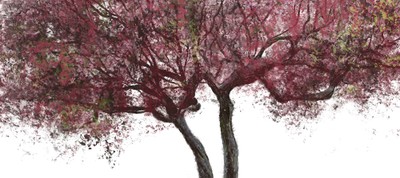 A l'ombra de la poesia