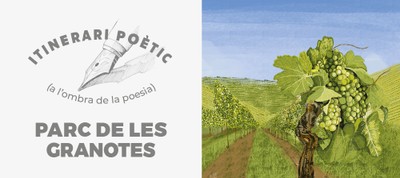 Clàssics al Parc de les Granotes