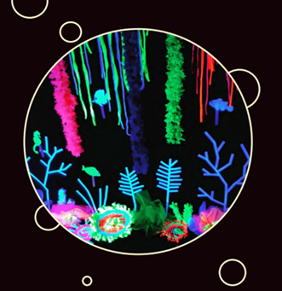 Clardelluna: Aquarium fluorescent + El jardí dels colors