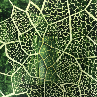 Com fer una sessió de plàstica