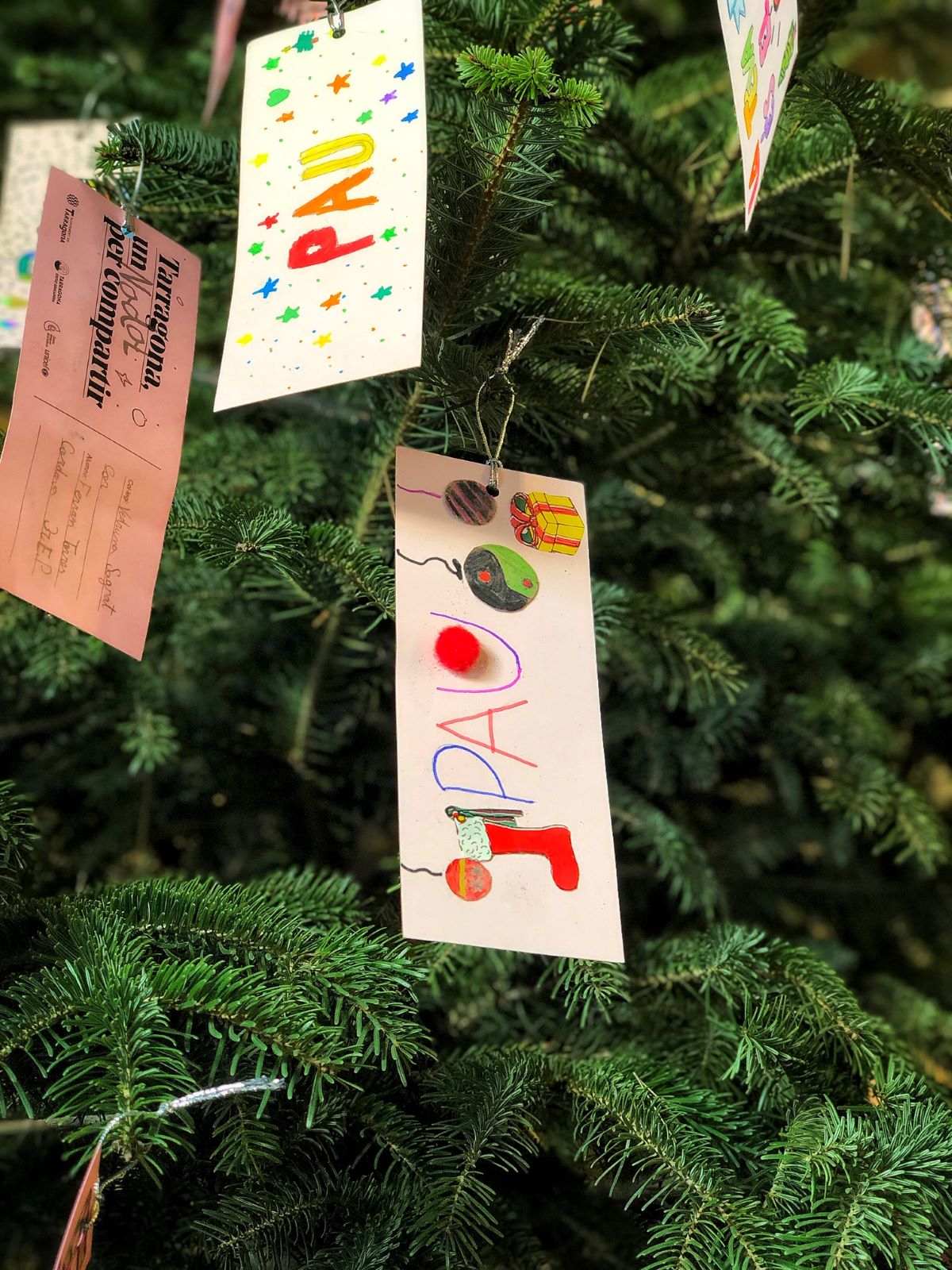 Abre dels Desitjos 2018   Pau