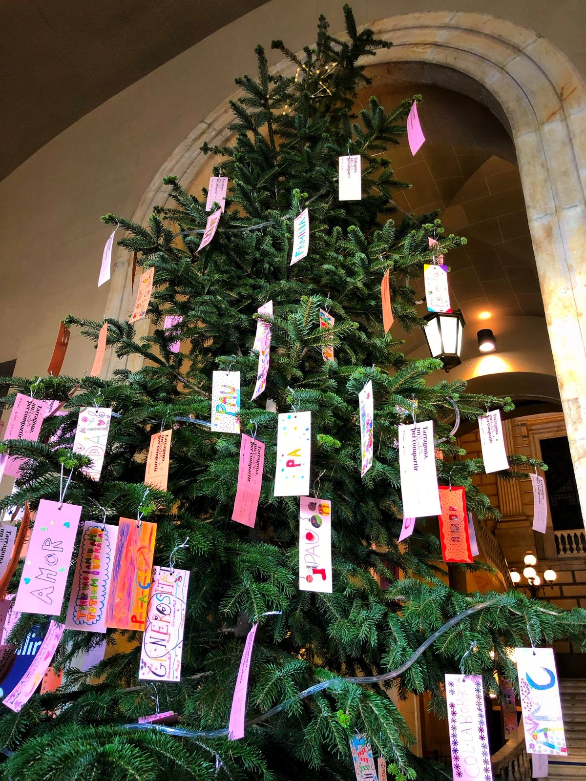 Abre dels Desitjos 2018