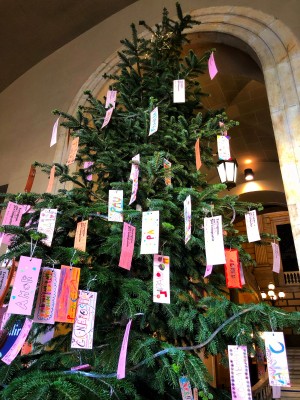 Abre dels Desitjos 2018