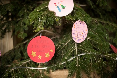 Arbre dels desitjos 2019   respecte   DAVID OLIETE