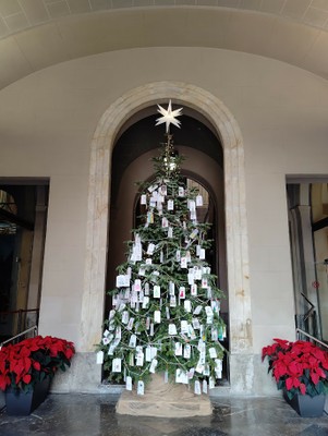 Arbre dels desitjos 2024