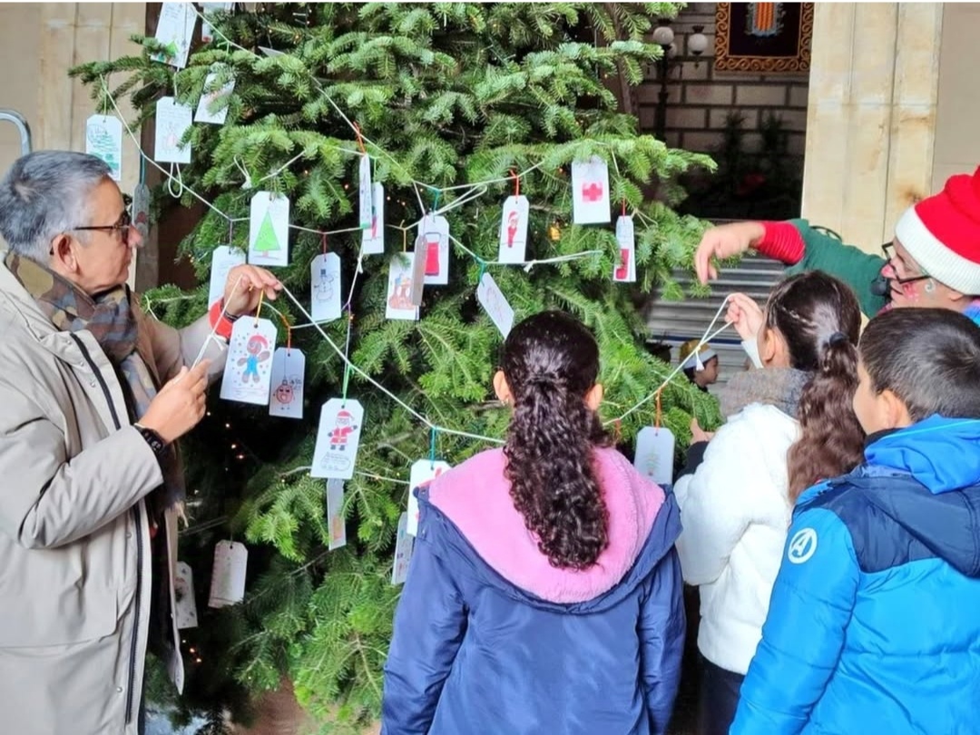  Arbre dels desitjos 2024