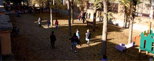 mare de deu del miracle.JPG