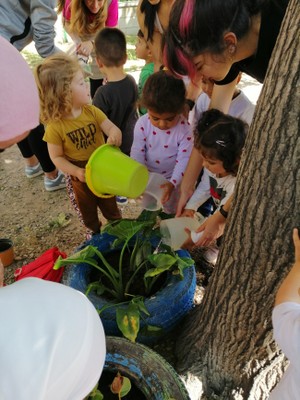 Jornada comunitària a la Llim El Ninot 7