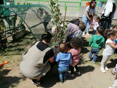 Jornada comunitària a la Llim El Ninot 9