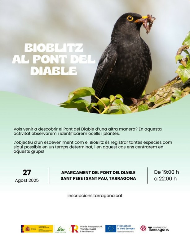 Bioblitz al Pont del Diable