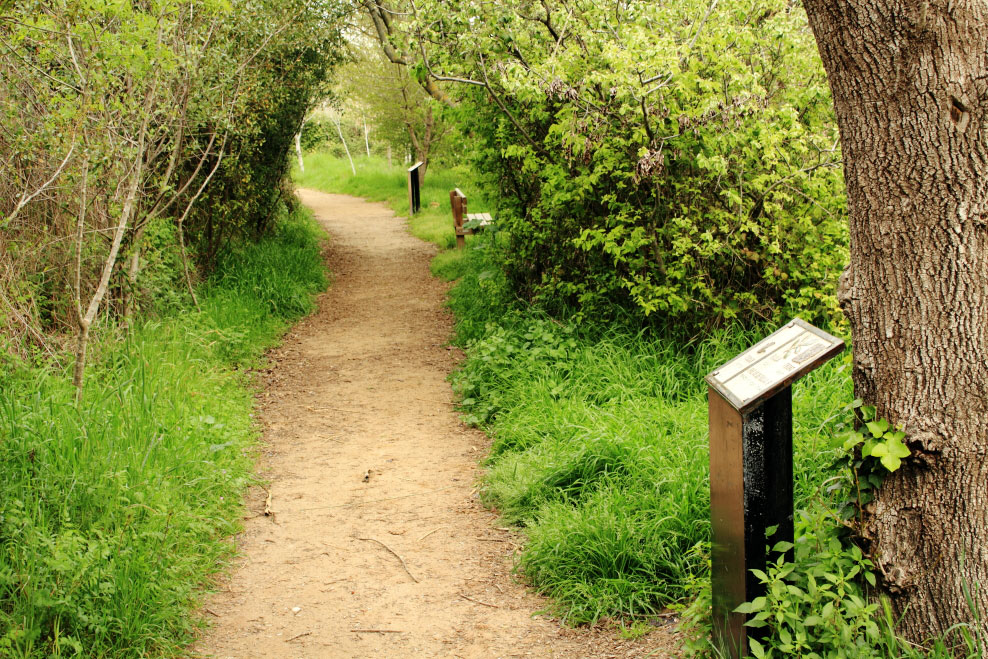 Banys d’horta i de bosc | Cicle Ciantura