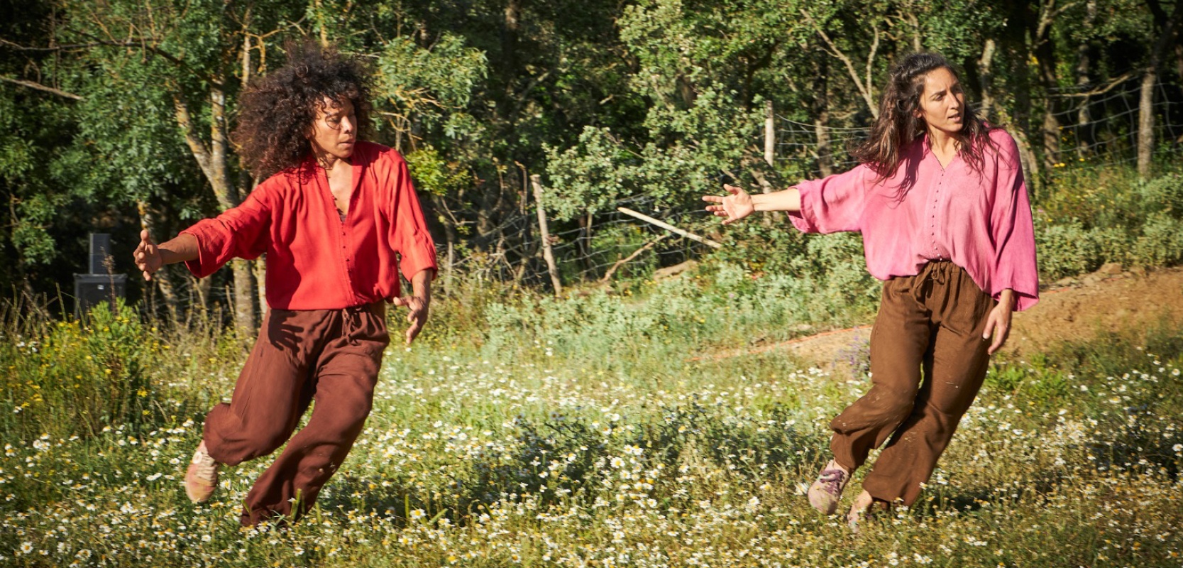 El tros, Companyia ¼ experimental