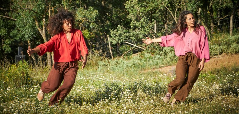 El tros, Companyia ¼ experimental