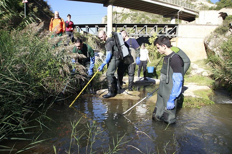 Pesca d’aigua dolça
