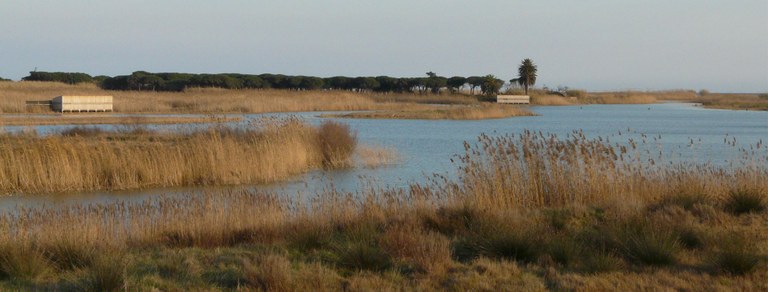 Protegim el mar: del delta al rescat marí