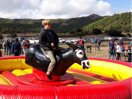 Tarda lúdica: Ruc mecànic, jocs de taula i activitats de lleure educatiu