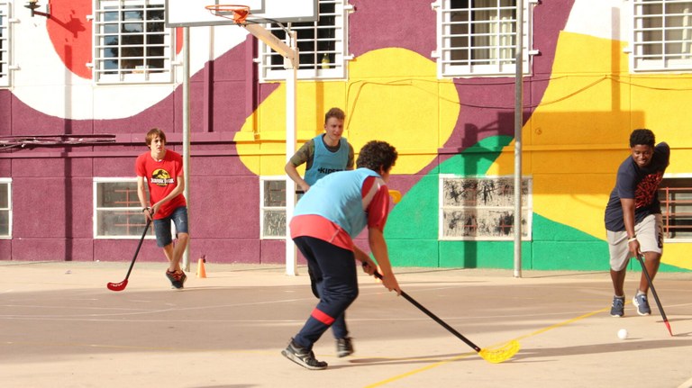 Tardes multiesportives