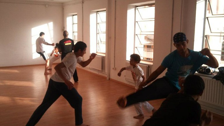 Iniciació a la capoeira