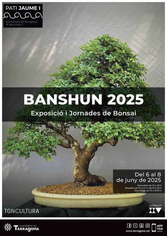 Banshun 2025