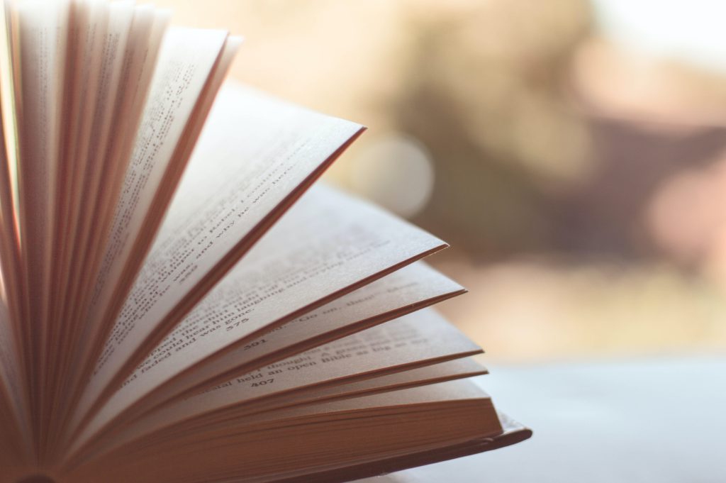 Aula de creació de novel·la fantàstica: La caiguda del drac	