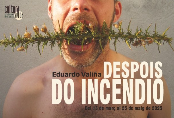 "Despois do incendio”, d'Eduardo Valiña