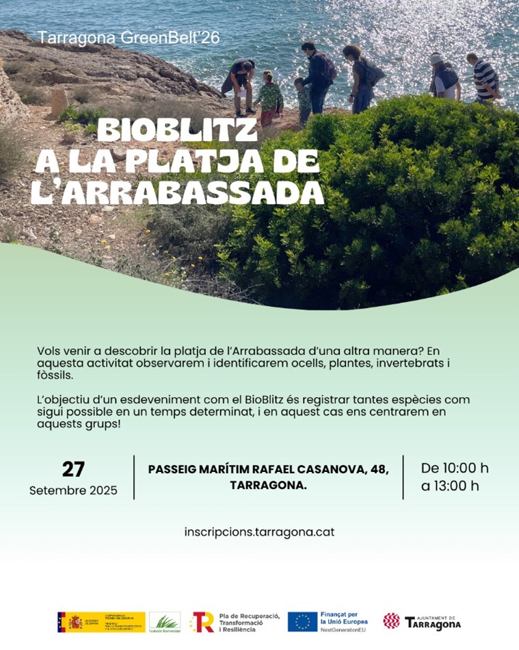 Bioblitz a la platja de l'Arrabassada