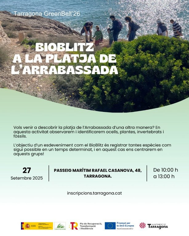 Bioblitz a la platja de l'Arrabassada