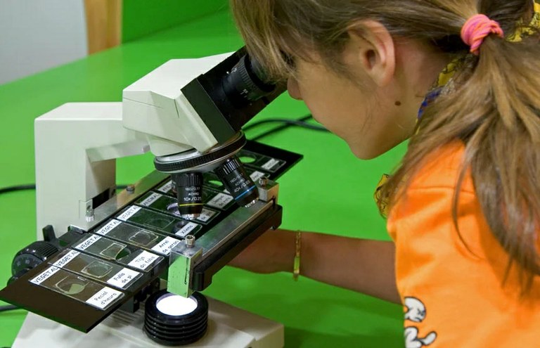 El món de la cèl·lula