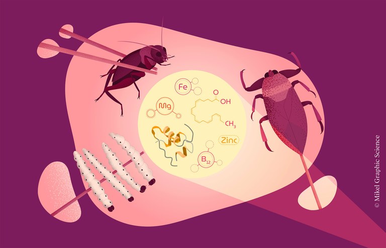 Menjarem insectes en els plats gurmet del futur?