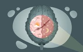 Què ens treu la son?