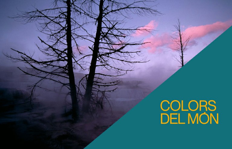 Visita en família. Per què el cel no és sempre blau?