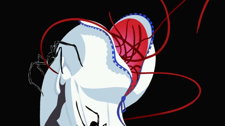 Mostra de Teatre Jove | What if?