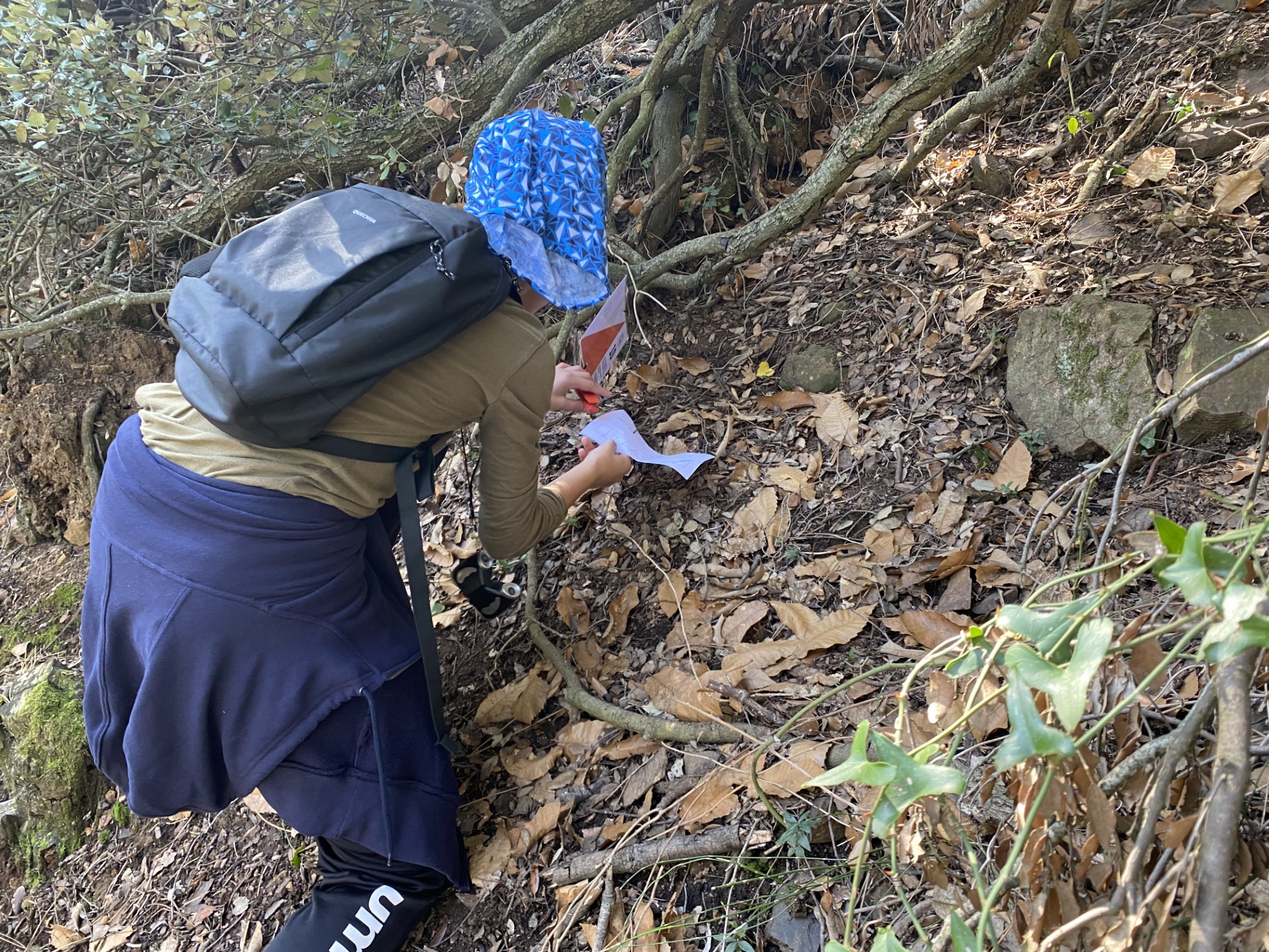 Orienta’t i descobreix