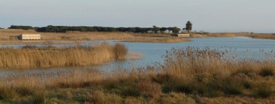 Protegim el mar: del delta al rescat marí