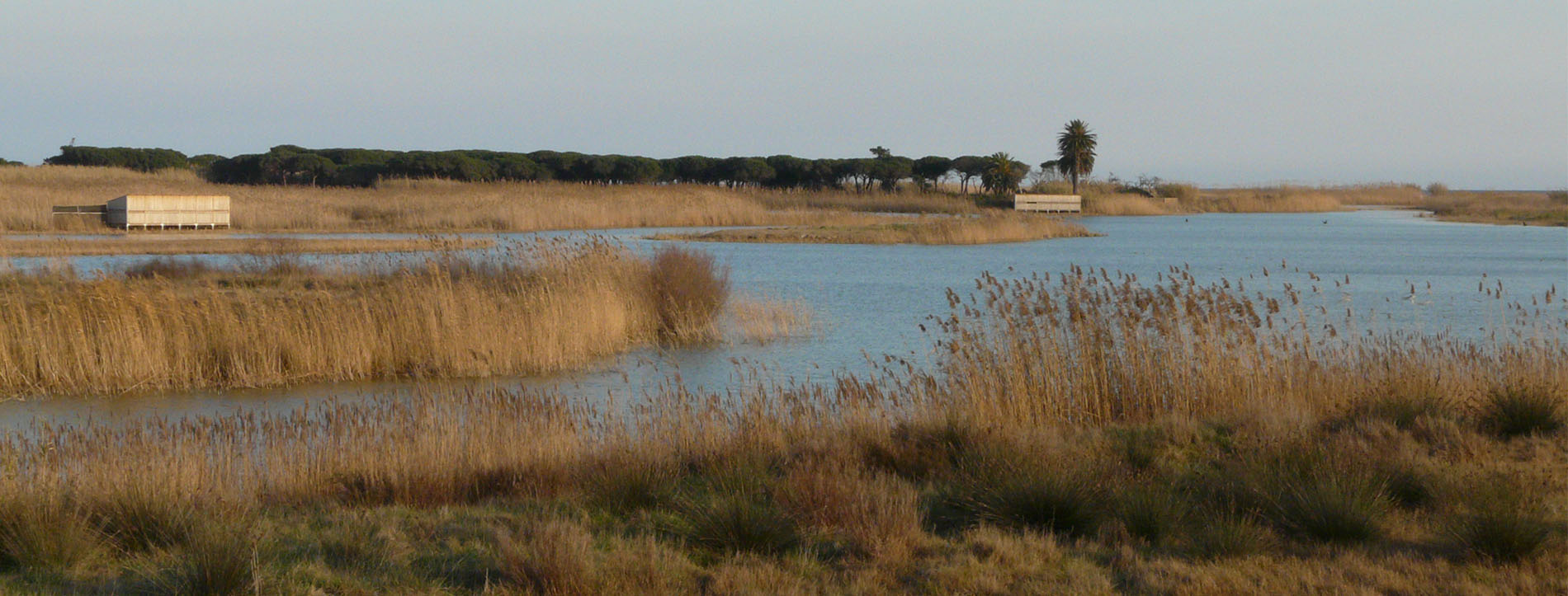 Protegim el mar: del delta al rescat marí