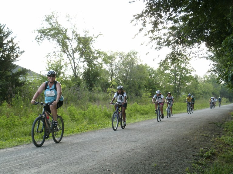 Sortida: bici entre vinyes del Penedès