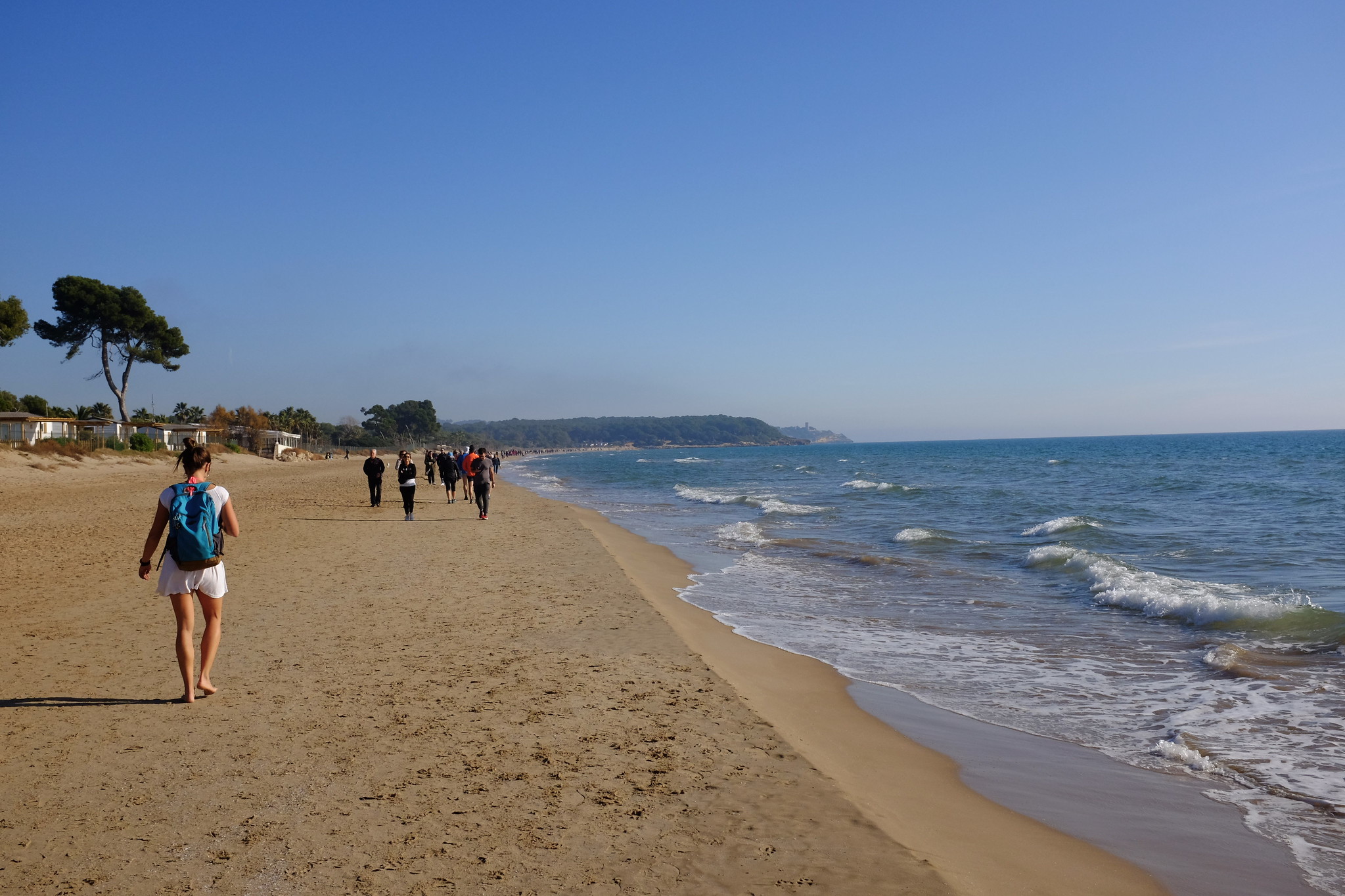 Tarragona Salvatge: Fotografia i natura