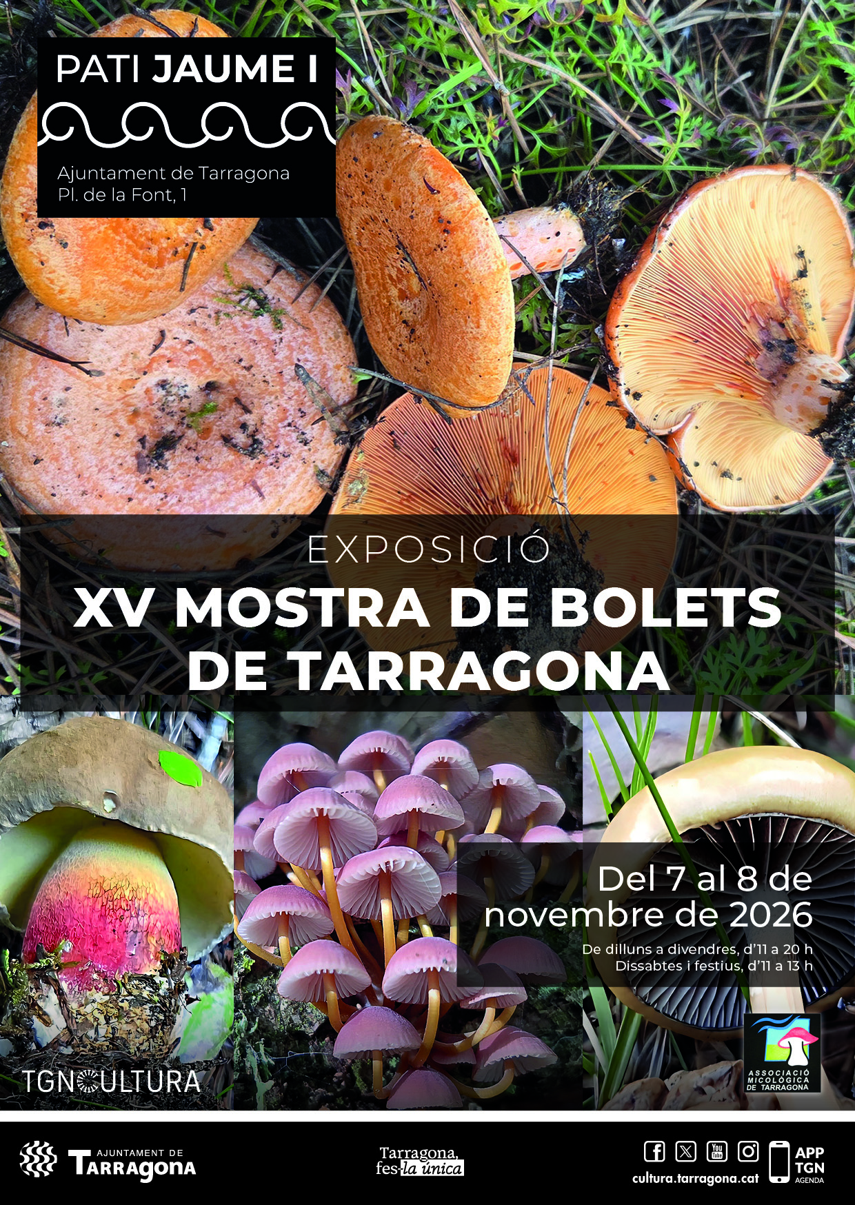 XV Mostra de Bolets de Tarragona