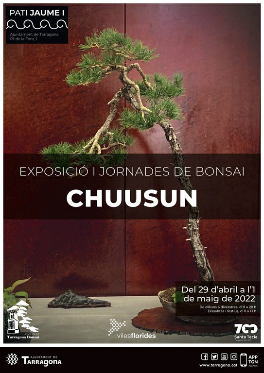 El pati Jaume I acollirà l'exposició de bonsais "Chuusun"